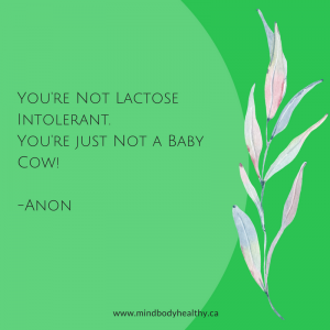 Dairy Intolerance | Holistic Nutrition